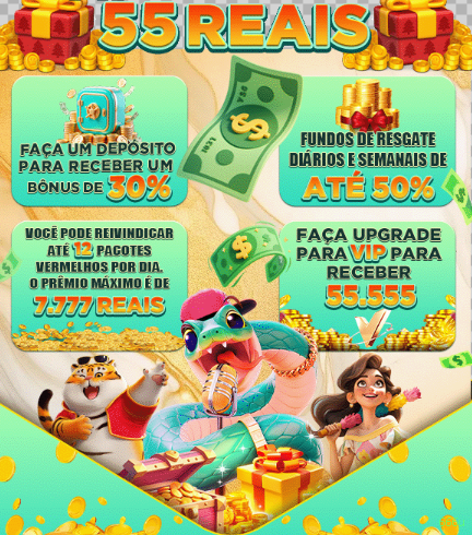 Suporte VIP 666u - atendimento prioritário